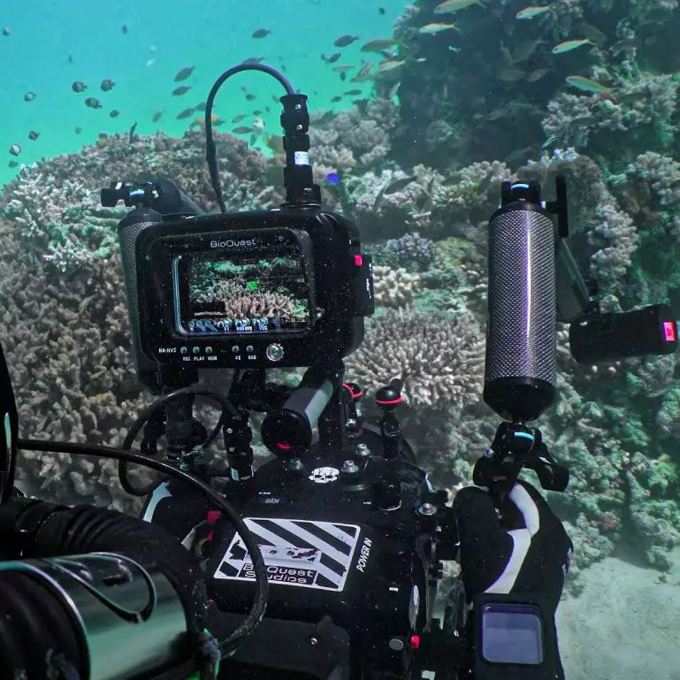 Moniteur enregistreur 5,2" Atomos Ninja - 4K Apple ProRes RAW